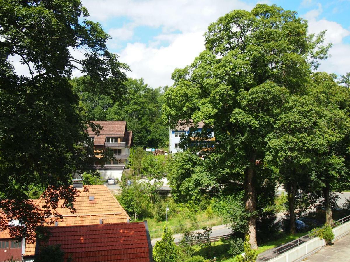 Apartment Harzgruen 2 Sankt Andreasberg Kültér fotó