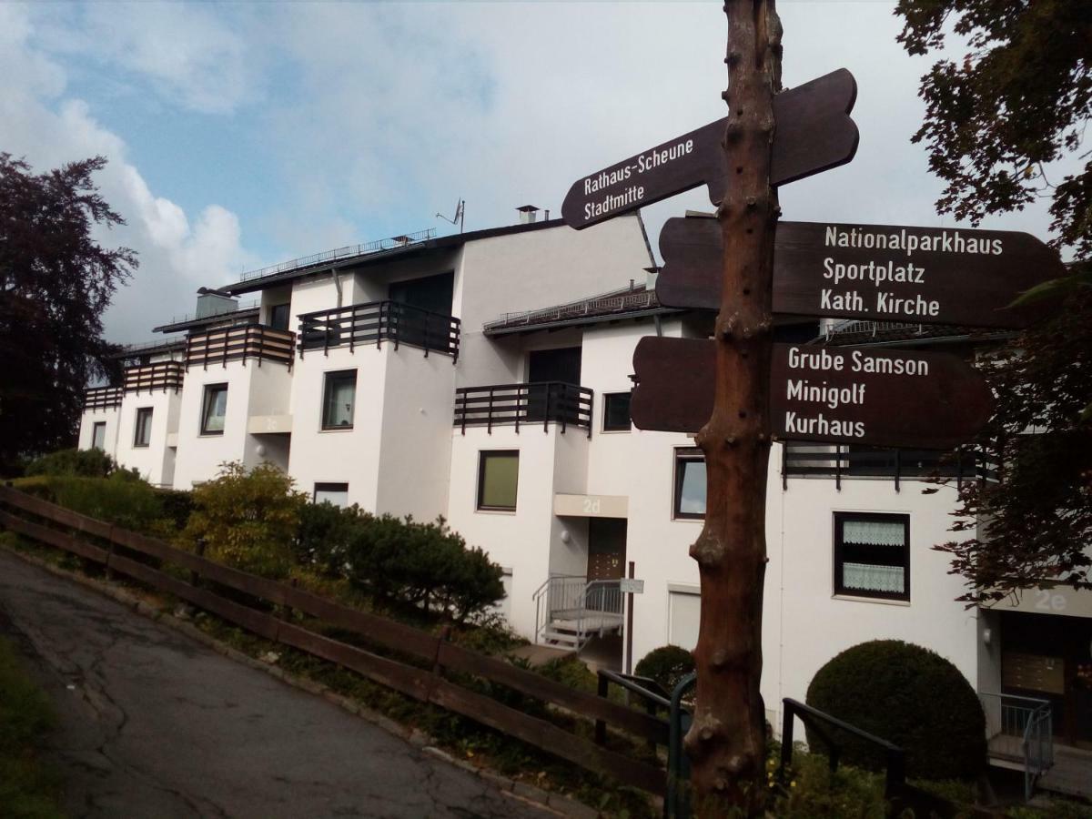 Apartment Harzgruen 2 Sankt Andreasberg Kültér fotó
